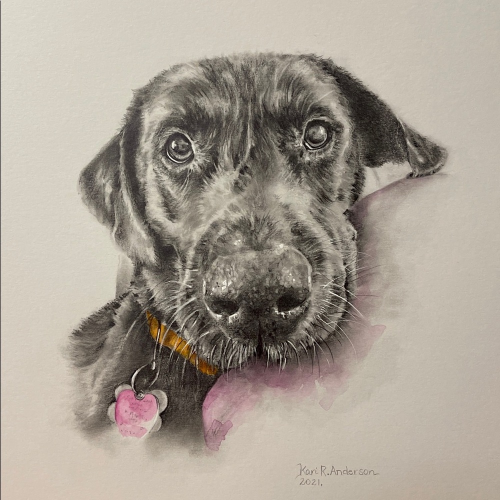 CUSTOM Animal Portrait (Graphite)